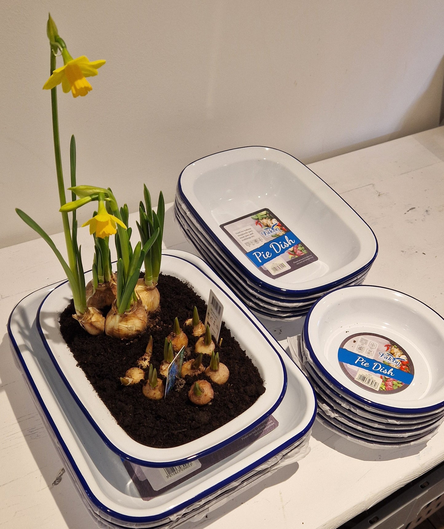 Spring planted enamel pie dish.