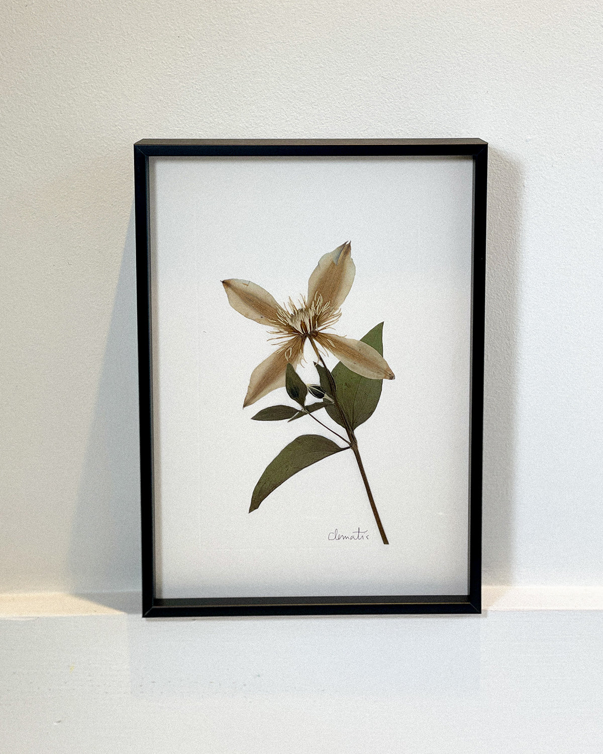 A5 Framed Pressed Flower