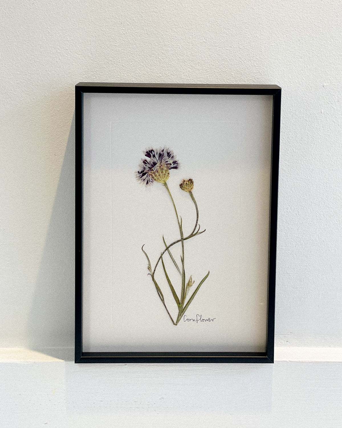 A5 Framed Pressed Flower