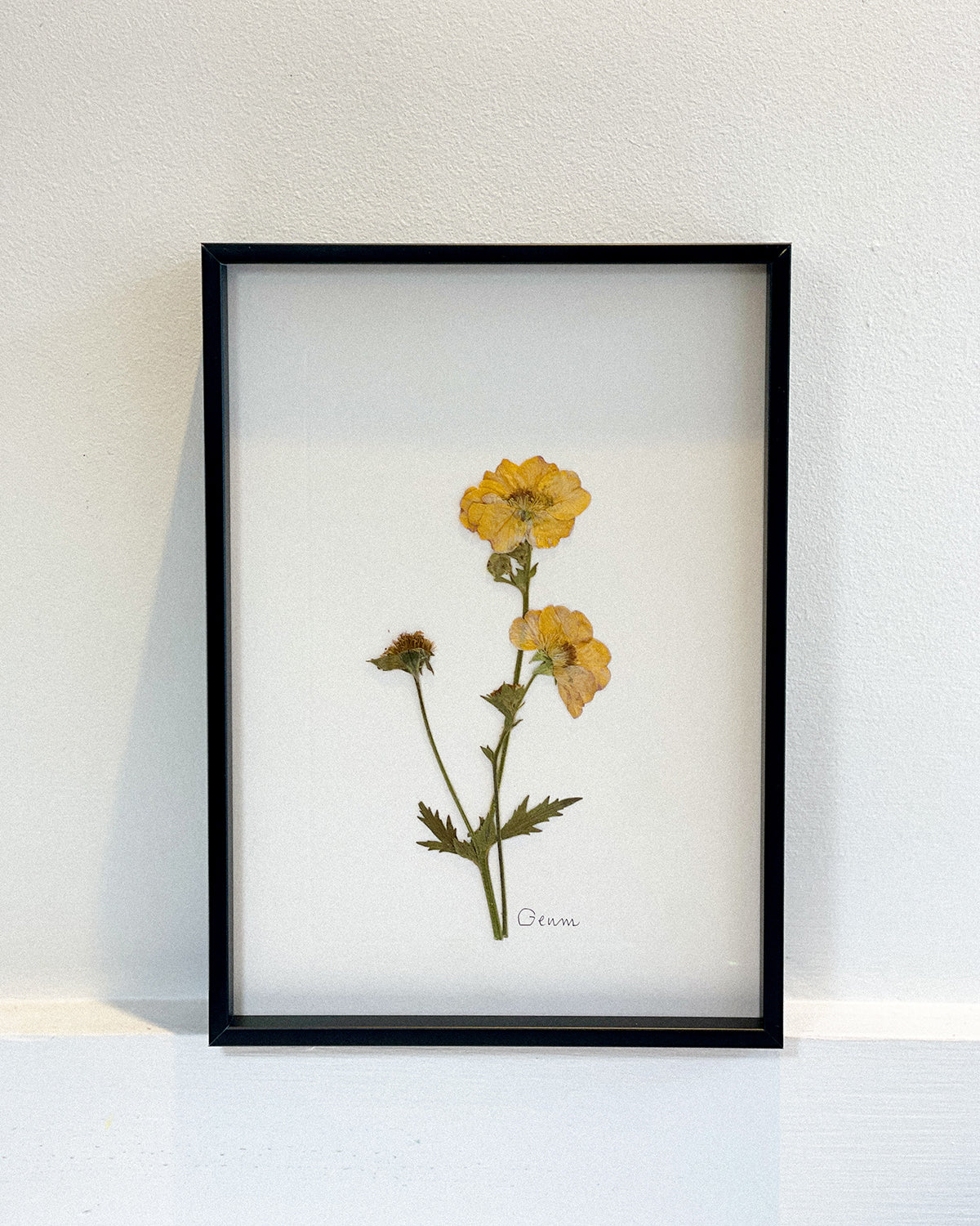A5 Framed Pressed Flower