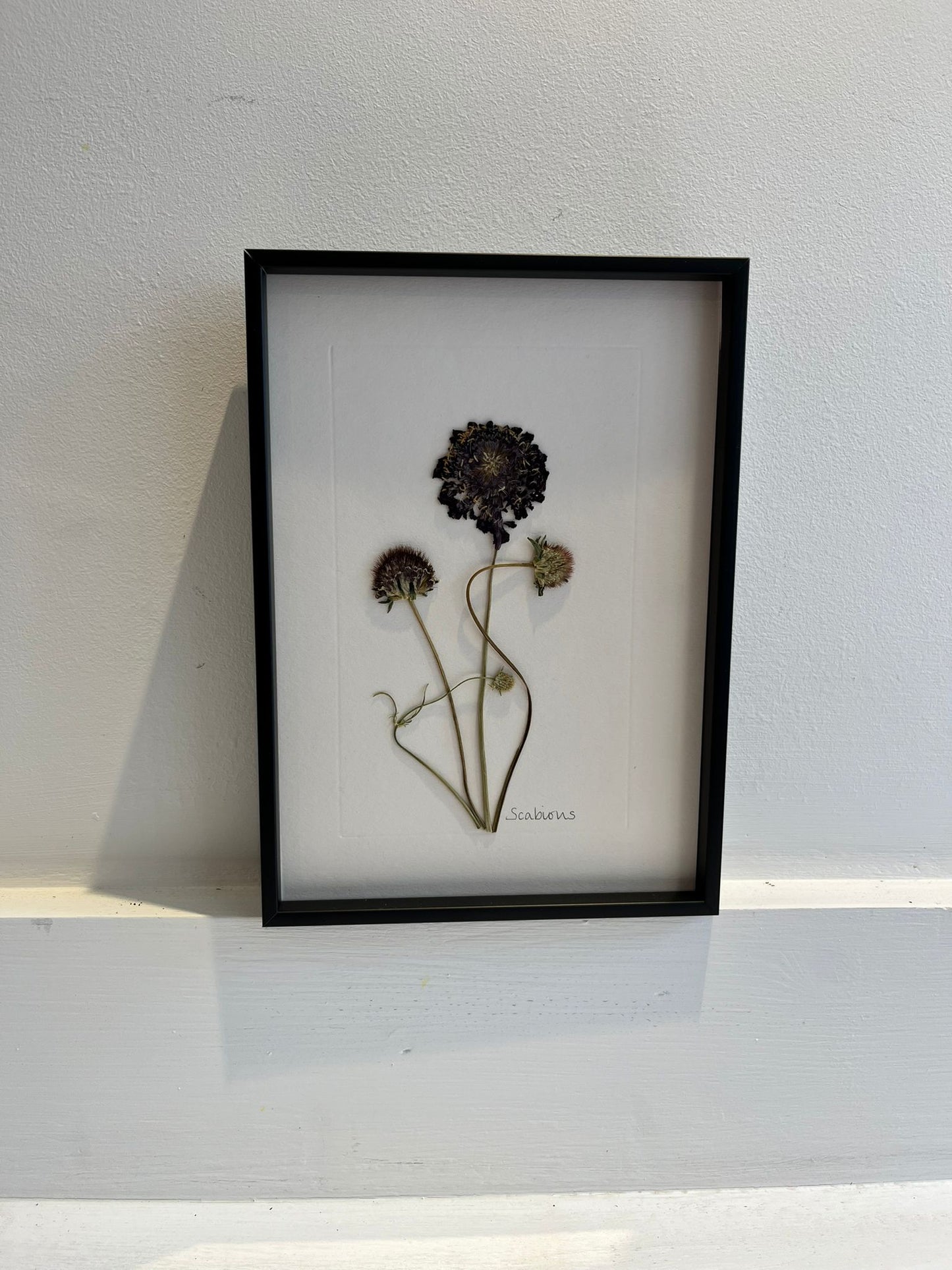 A5 Framed Pressed Flower