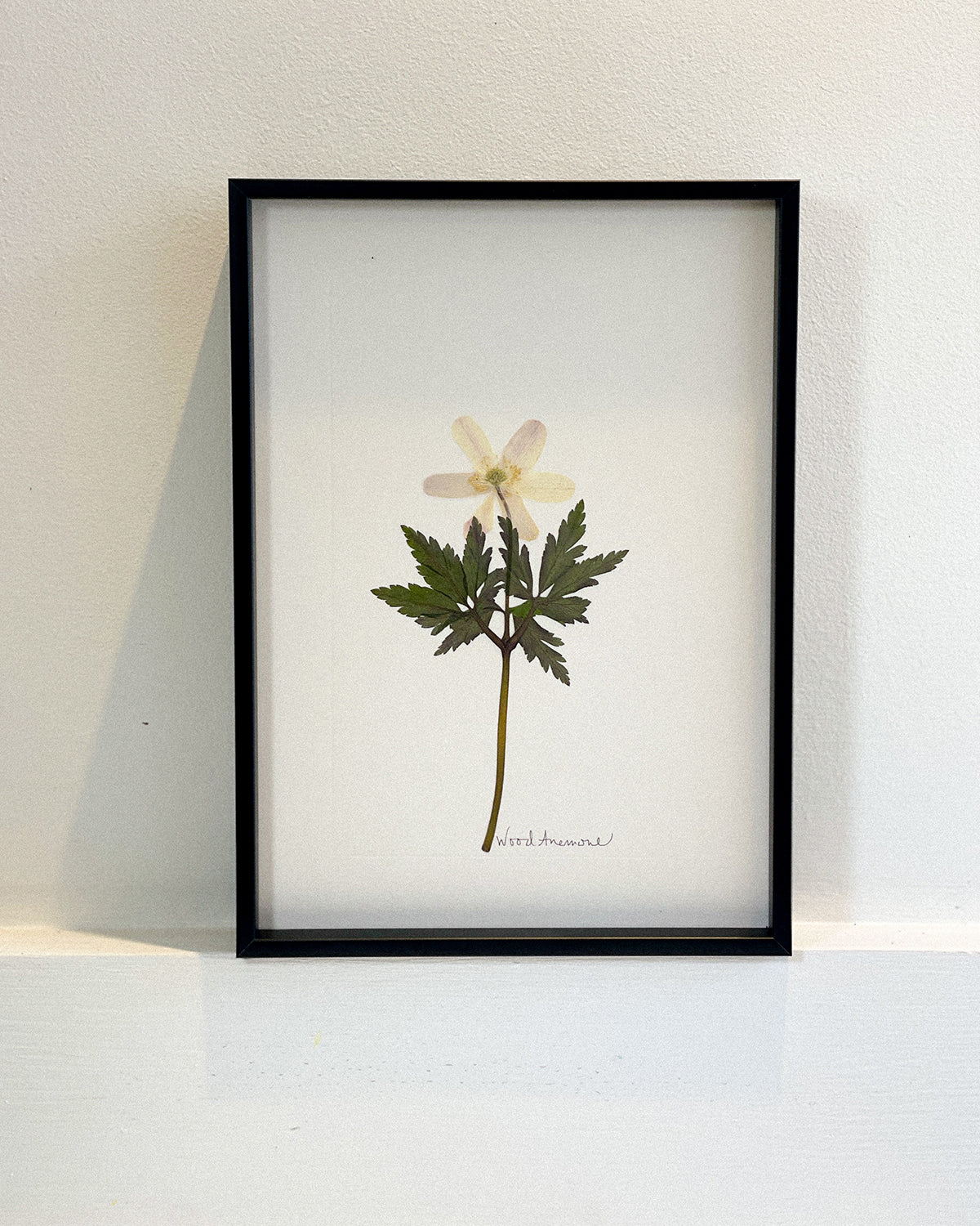 A3 Framed Pressed Flower Print