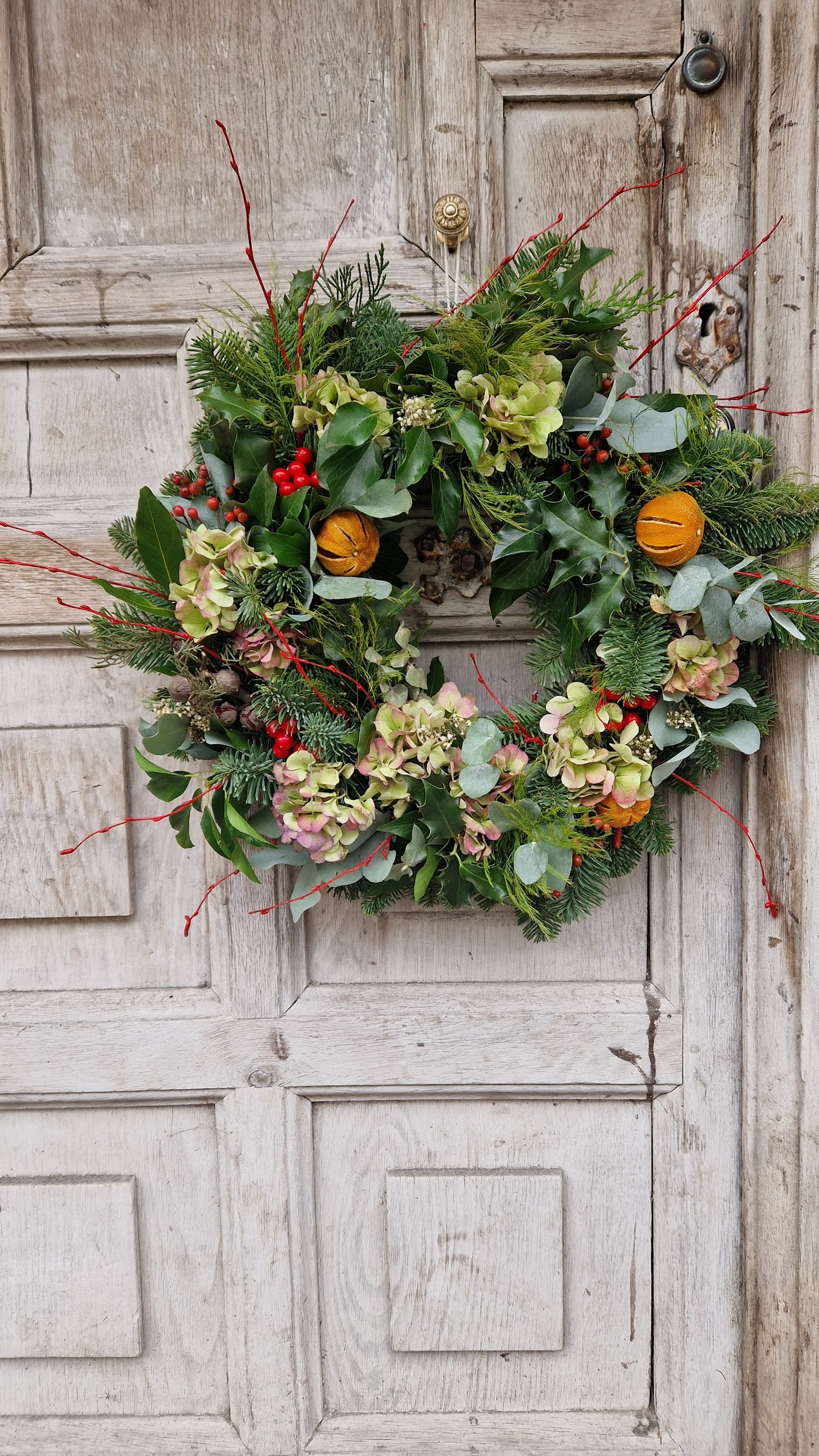 Fresh foliage wreath. Pine, eucalyptus, hydrangers.