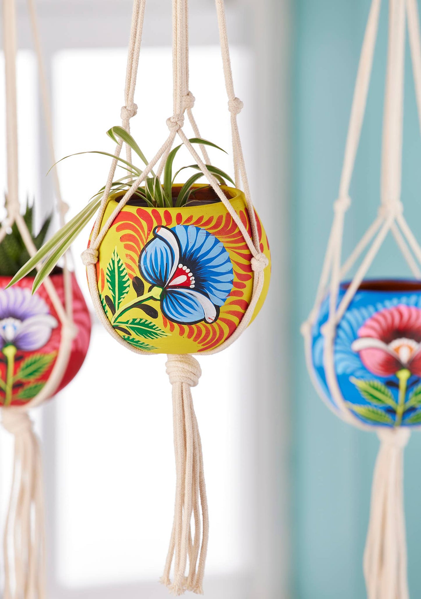 Shapla Handpainted Hanging Planter