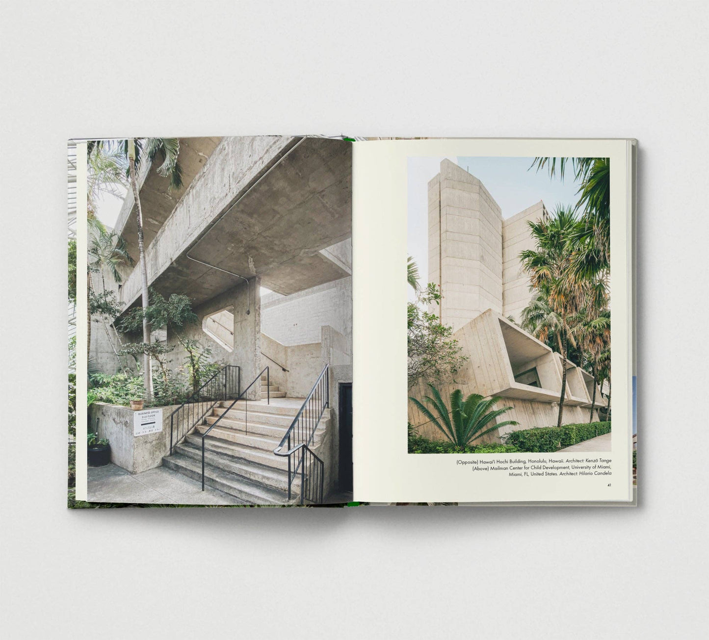 Brutalist Plants