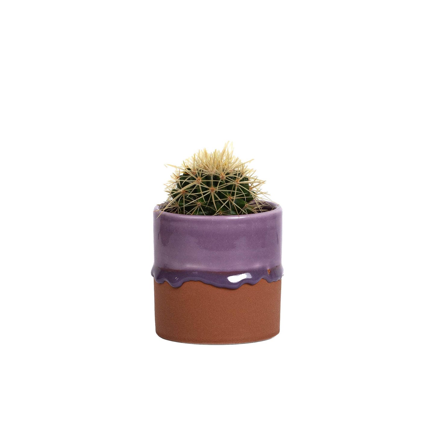 Drip Ceramic Planter