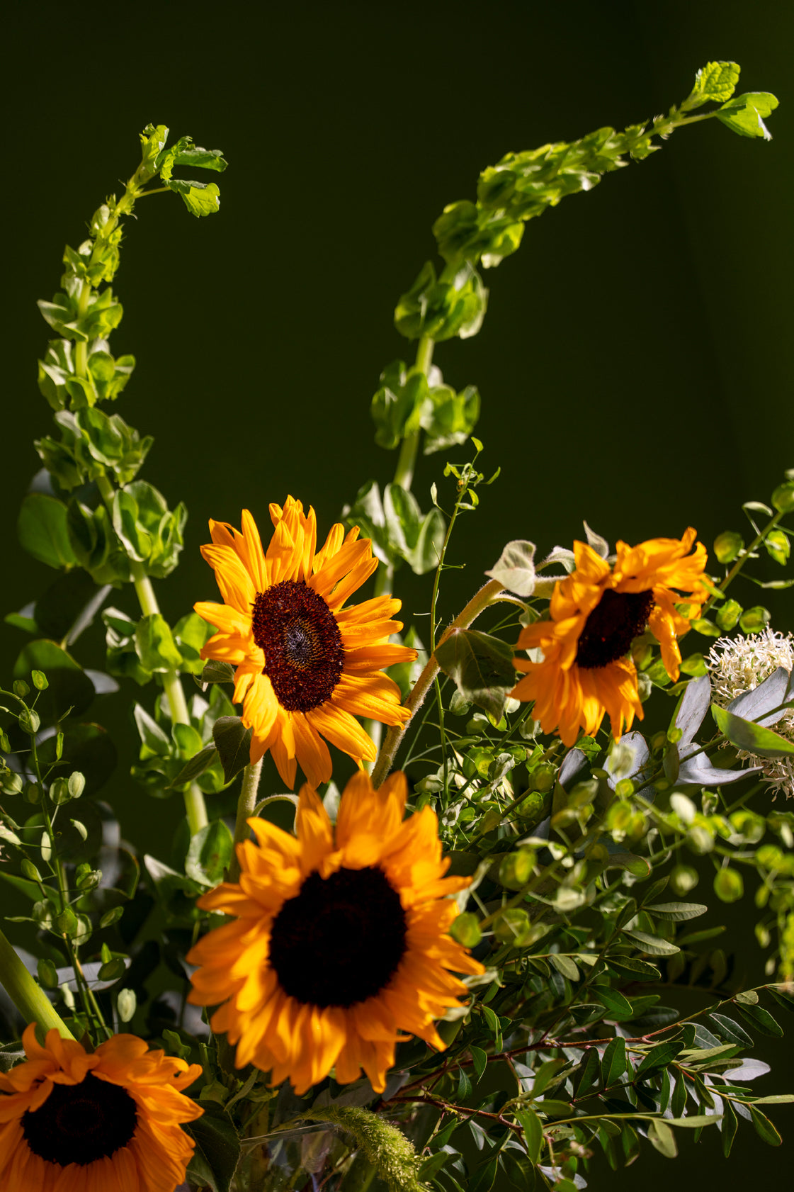 Sunshine & Meadow Greens