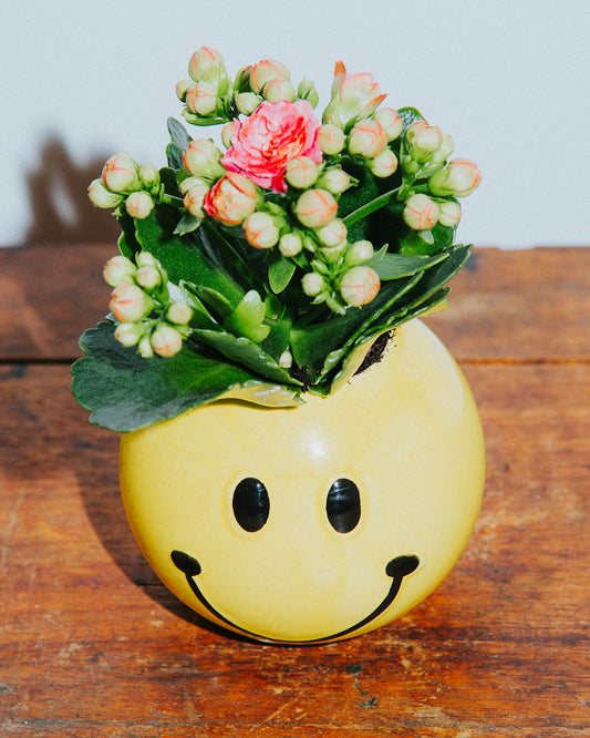 Planted Smiley