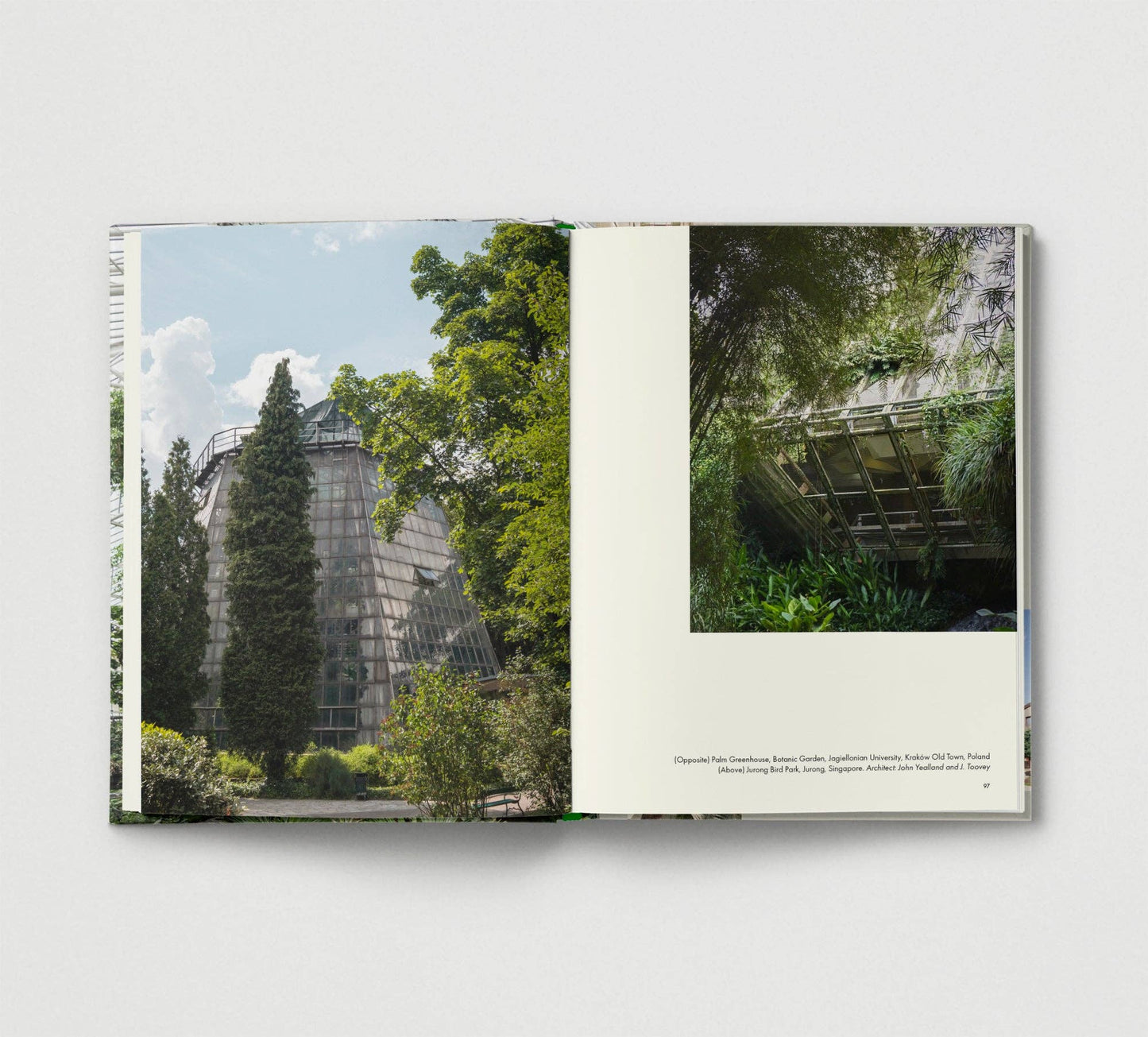Brutalist Plants