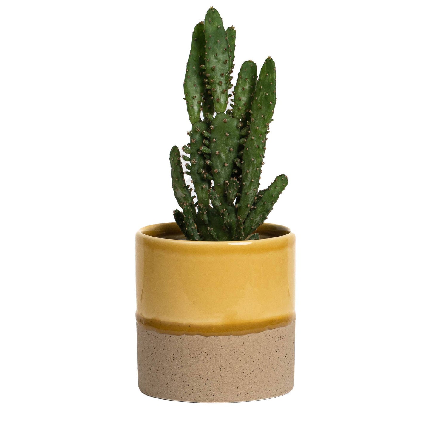 Drip Ceramic Planter