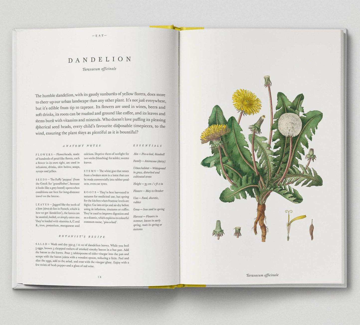 The Botanical City